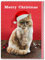 Brainbox Candy Lustige Weihnachtskarte – Merry Christmas Cat Finger – freche Weihnachtskarten – für Freunde, Familie und Kollegen – lustige Weihnachtskarte mit Katzenmotiv – 120 mm x 170 mm –