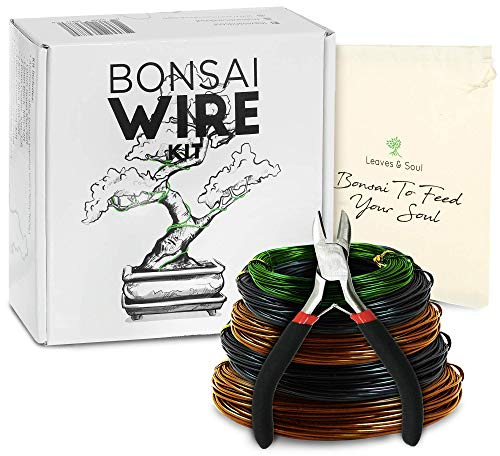 Leaves & Soul Bonsai Wire Kit with Cutter, Bonsai Training Wire Set 160ft