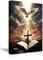 CXHOSTENT Heilige Bibel Kreuz Bild auf Leinwand Christliches Leinwandbild Das Kreuz und die Friedenstaube Wanddekoration Jesus Bilder Gott Poster (A, 30.00 x 45.00 cms)