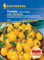 Kiepenkerl Profi-Line Cherrytomatensamen Yellow Pearshaped - Aromatische Gelbe Kirschtomate, Ideal zum Naschen, Hochwertige Gemüsesamen, Tomatensamen für Garten und Balkon, Samen für Gemüseanbau