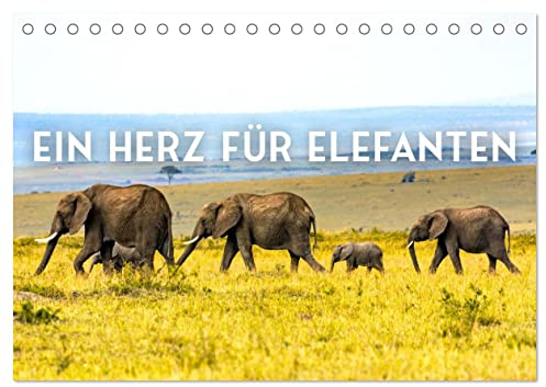 Ein Herz für Elefanten (Tischkalender 2026 DIN A5 quer), CALVENDO Monatskalender: Die sanften Riesen der Welt. (CALVENDO Orte)