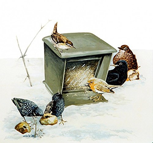 Schwegler Vogelfutterstelle für Vögel, Futterstation für Bodenfresser wie Rotkehlchen, Goldammer, Heckenbraunelle, Amseln
