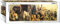 Eurographics 1000 Teile Panorama - Tiere der Arche Noah, Verschieden