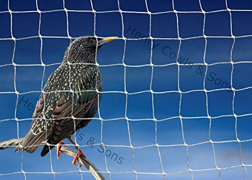 Bird Netting For the Garden 5m x 10m 28mm Anti Starling Knotted 1 1/8 Mesh Heavy Duty White Net