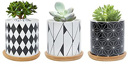 FORAGIFT Maceta para suculentas de 7,5 cm, maceta de cerámica con patrón geométrico de cactus, macetas pequeñas para plantas de interior y exterior con bandeja de bambú, e ideal para decoración de