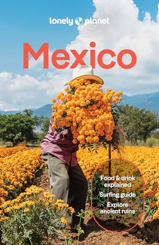 Lonely Planet Mexico: Plan the Trip of a Lifetime | Detailed Itineraries & Maps | Insider Tips | Covers ETulum, Oaxaca, Copper Canyon and more (Travel Guide)