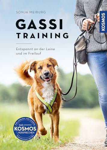 Gassi-Training: Entspannt an der Leine und im Freilauf