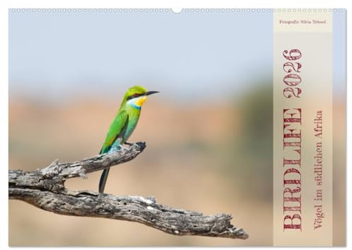 Birdlife - Vögel im südlichen Afrika (Wandkalender 2026 DIN A2 quer), CALVENDO Monatskalender: Tauchen Sie ein in die Vogelwelt des südlichen Afrikas. (CALVENDO Tiere)
