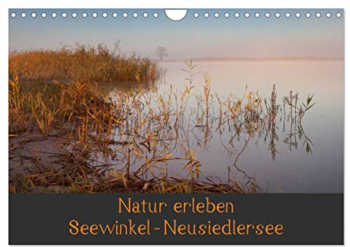 Natur erleben Seewinkel-Neusiedlersee (Wandkalender 2026 DIN A4 quer), CALVENDO Monatskalender: Naturkulisse Seewinkel im Burgenland, Österreich (CALVENDO Natur)