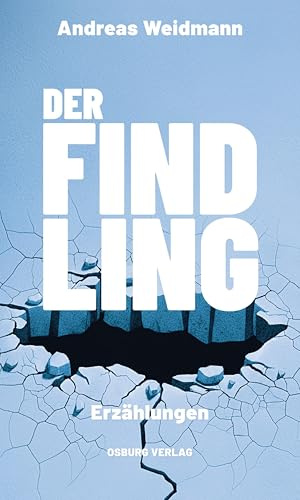 Der Findling: Erzählungen