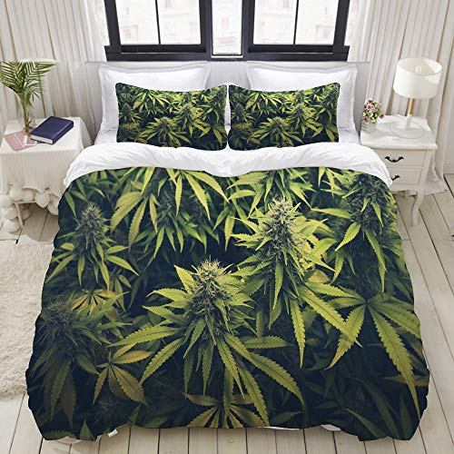 ALLMILL Bettwäsche-Set, Mikrofaser,Grünes Unkraut Cannabis Bud Marihuana Plants Marihuana Sativa Hanf Indica Grow Farm,1 Bettbezug 135 x 200cm+ 2 Kopfkissenbezug 80x80cm