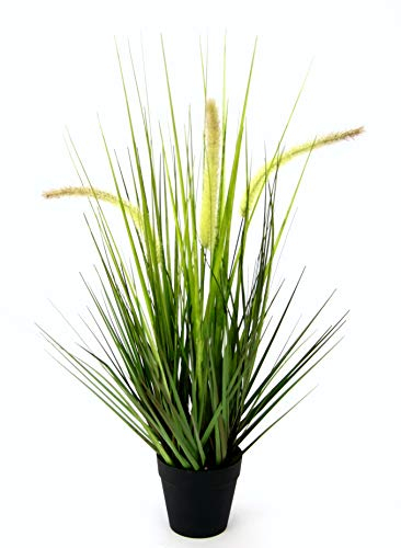 Künstliches Fuchsschwanzgras im Topf Gras Kunstpflanze Kunstgras Ziergras Grünpflanzen Dekogras Grasbüschel Ziergras Solitärgras Deko Grasarrangement Borstenhirse Panicoideae Süßgräser Setaria