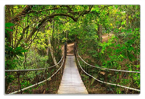 Wallario Frühstücksbrettchen aus Glas, Glasunterlage, Glasbrettchen Hängebrücke im Urwald grüner Dschungel, Größe 20 x 30 cm, Sicherheitsglas