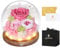 MAMAMIKO Rosa Stabilizzata Vera con Luci LED,Fiori Rose Eterna la Bella e la Bestia,Regalo per Lei,Idee Regalo San Valentino,Compleanno,Anniversario per Donna Fidanzata Mamma,Festa della Mamma(Rosa)