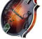The Feather F-Style Mandolin Pickup with Flexible Micro-Gooseneck by Myers Pickups