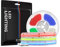 SEZO FCOB COB RGBW LED Streifen RGBWW COB RGB+Warmweiß(3000K) Flexible Hohe Dichte LED Strip 3M 896LED/M 16W/M DC24V 12mm Breite Multicolor IP30 für Schlafzimmer Küche Party DIY Heimdekoration