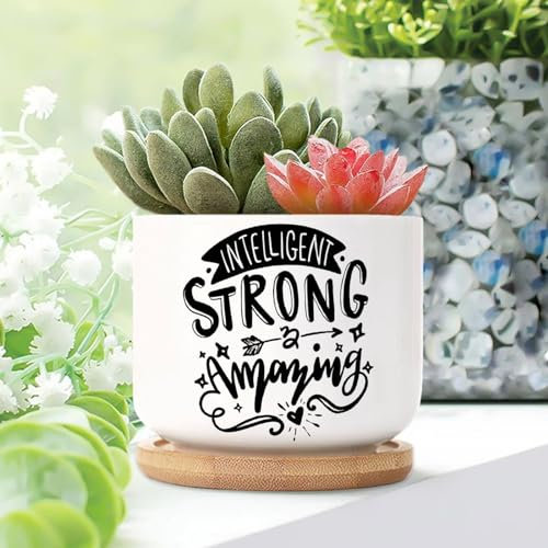 WoGuangis Lot de 2 pots de fleurs intelligents en céramique solides et étonnants avec citations de la fête des mères, plantes grasses en pot avec drainage, petits pots de fleurs en céramique