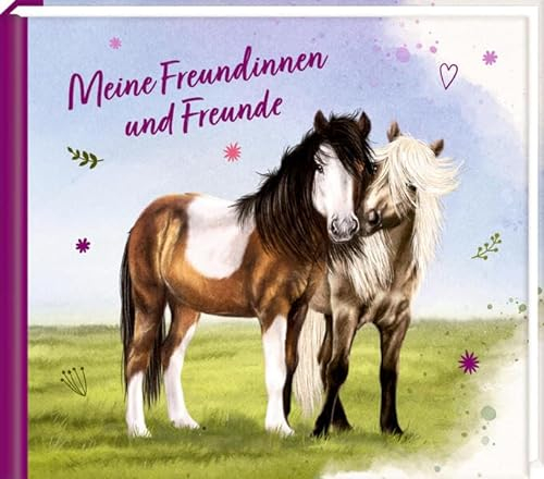 Freundebuch: Meine Freundinnen und Freunde (Pferdefreunde)