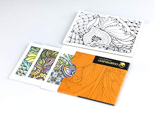 Chameleon, Color Cards, Art Supplies - Zen