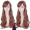 Perücke für Halloween Mode Weihnachten Party Dress Up Perücke Prinzessin Anna Frozen 2 Frozen 2 Brown Side Split Cos Anime Perücke