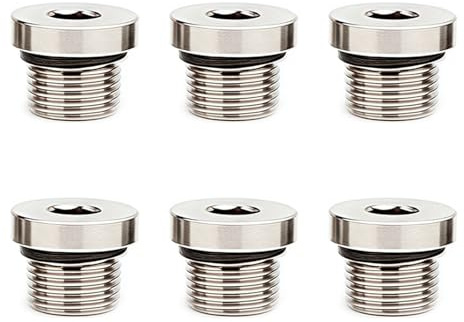 6 PCS 1/4 Pouces Bouchon d'étanchéité en Acier au Carbone, Bouchon de Tuyau d'eau Hexagonal Intérieur, Scellement Efficace pour Pompes à Huile Hydrauliques et Applications Hydraulique