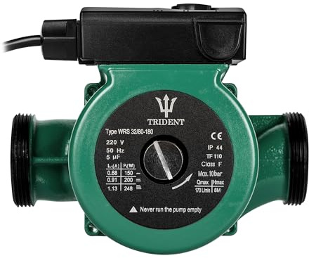 Trident Large Capacity 2 inch Port Water Circulation Pump