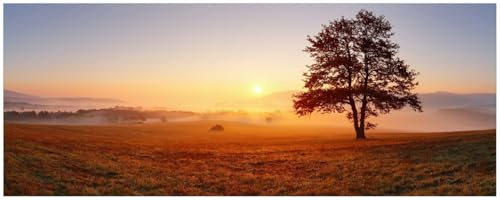 Wallario Küchenrückwand selbstklebend 115 x 50 cm, Motiv: Sonnenaufgang über der Wiese mit Nebel | Spritzschutz abwischbar & pflegeleicht