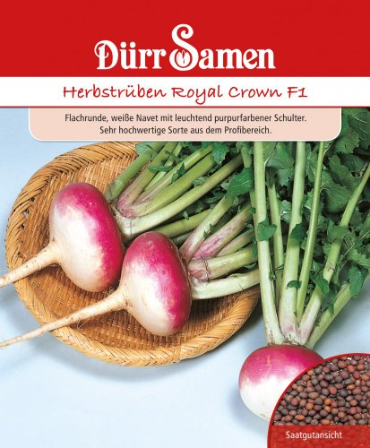 Herbstrüben Samen Herbstrübensamen Rübensamen Rüben ca 250 Korn Flachrunde Saatgut Gemüse Garten Hochbeet Kübel Dürr Samen