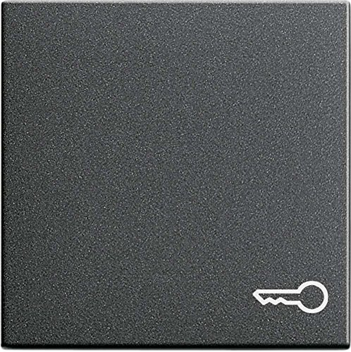 Gira Wippe Tür Anth 028728 System55 System 55 Abdeckung/Bedienelement für Installationsschalterprogramme 4010337287285