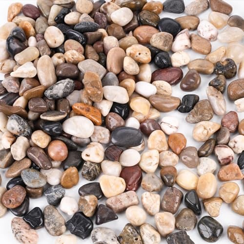 HAKACC 900g Flusskiesel Edelsteine,Kieselsteine Polierte zum Basteln Kleine Deko Steine für Vasen Pflanzen Garten Landschaftsbau Sukkulenten
