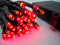 Best Artificial (TM) 50 Red LED Outdoor Waterproof Battery 8 Multi-Function String Lights with Timer 5M Length Party Fairy Christmas
