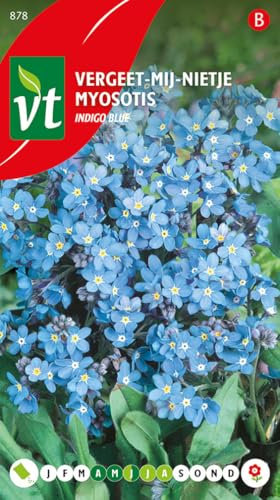 Graines de Myosotis Bleu Indigo - Fleurs Vivaces Parfaites pour Jardins & Balcons