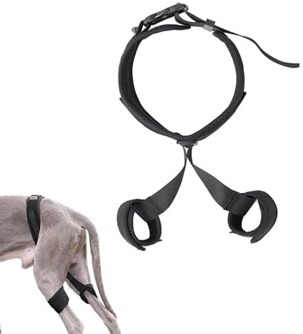 WEEVDRIE Hüftstützbandage für Hunde,Hüftdysplasie Bandage,Hüftdysplasie-Orthese für Hunde,Hundebeinbandagen für das Hinterbein,Hunde-Hüftbandage für Hüftdysplasie, Luxating Patella, Hüftschmerzen(L)