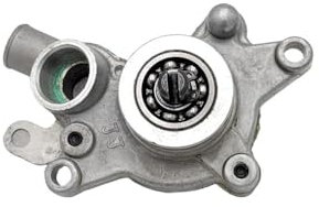 DbfiUoe Pompe à Eau for Quad 250cc, 30040022820260, Scooter, Moteur refroidi par Eau, cyclomoteur VOG260