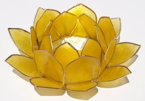 GURU SHOP Lotus Teelicht Muschel 14x6 cm - Goldgelb