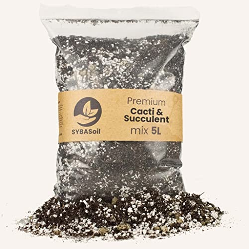 Sybotanica Kakteen & Sukkulenten-Erde 15 L – Premium Coco Blumenerde für Aloe, Sansevieria & mehr, Torffrei & 180 Tage Bio-Dünger – Für Zimmerpflanzen-Liebhaber