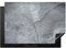 KitchenYeah© Copri Piano Cottura 75x52 cm Coprifornelli Tappetino per Induzione Fornello Tutto per la Cucina Calcestruzzo - Grigio - Crepe