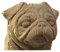 CARTONIC 3D-Puzzle-Set – Pug – Hund – 3D-Puzzle aus Karton – Der Karton verwandelt sich in eine Figur in Relief – alle Altersgruppen – 96 Stück Cardboard 3D Jigsaw Puzzle