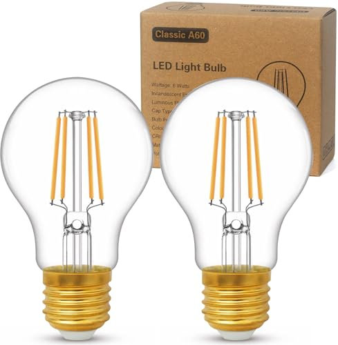 YOUDIAN LED E27 Edison Screw Bulb,Warm White 2700K,60 Watts Equivalent,6W ES Bulbs,Screw in Light Bulb,A60 Clear LED Filament Energy Saving Light Bulbs,600 Lumen,Non-Dimmable,Pack of 2