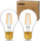 YOUDIAN LED E27 Edison Screw Bulb,Warm White 2700K,60 Watts Equivalent,6W ES Bulbs,Screw in Light Bulb,A60 Clear LED Filament Energy Saving Light Bulbs,600 Lumen,Non-Dimmable,Pack of 2