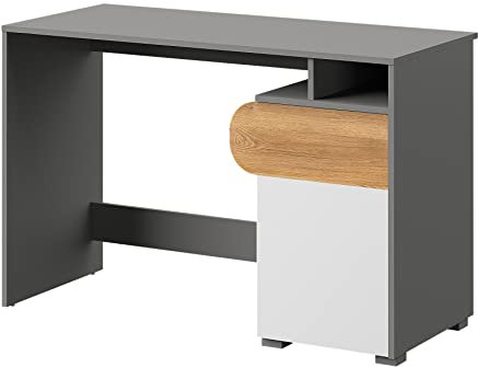 MINIO go for it - Schreibtisch Carina 8 Computertisch mit Schublade 120 cm