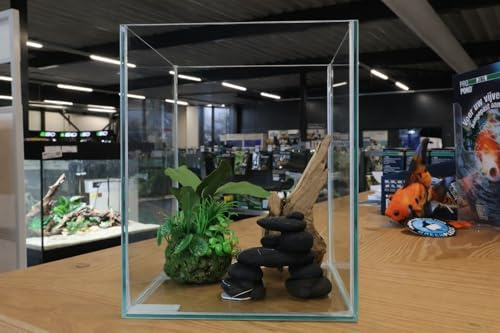 Vollglasaquarium 20x20x25 cm – Nano Aquarium 10L aus Floatglas – Quadratisches Mini Aquarium für Garnelen, Fische & Aquascaping – 360° Rundumblick – Modernes Design