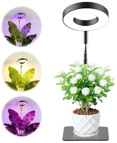 Grow Lights for Indoor Plants for Seedlings, Herbs, Succulents, Terrarium | with 48 LEDs Full Spectrum Led Grow Light 3 Light Modes, 10 Brightness Settings, 26-70CM Height Adjustable, Auto On/Off Timer