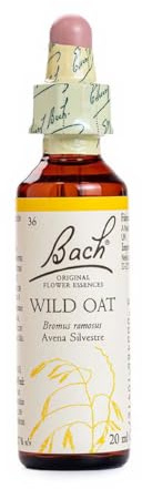 Bach - Flor de Bach Wild Oat, Complemento Alimenticio, 20 ml | Extracto de Avena Silvestre (Wild Oat), Ayuda para la Gestión de Emociones, Ambición, Formato Gotas, Adultos, 20 ml