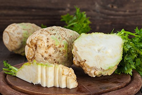 Apio nabo, apio de raízMaxim - variedad tardía - semilla