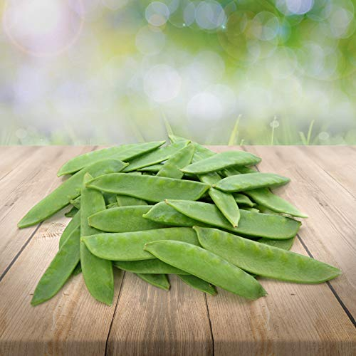 Zuckerschote/ZuckererbseCarouby 25 x Samen aus Portugal 100% Natur/Massenträger ideal zum Schmoren, Anbraten und im Salat… (Zuckerschote)