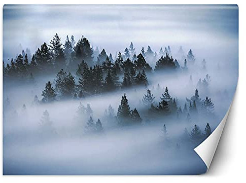 Feeby Papier Peint Intisse Arbres Nature Brume 300x210 cm gris Moderne Panoramique XXL Photo Mural Muraux Chambre Bureau Salle Forêt Dans La Brume