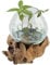 Glasvase auf Wurzelholz Ø 20cm x Höhe 27cm Recycling Glas & Teak Wurzel Holz handgefertigt extravagante Wohndeko Deko-Vase Glasschale Natur-Vase A20 Geschenk-Idee