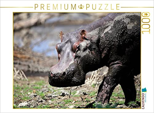 CALVENDO Puzzle Flusspferde – Nach dem Schlammbad | 1000 Teile Lege-Größe 64 x 48 cm Foto-Puzzle für glückliche Stunden