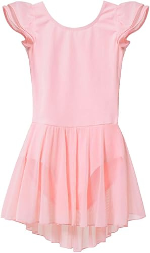 MdnMd Ballet Leotards for Toddler Girls Ballet Dance Dresses Pink Leotard with Skirt Gymnastics Outfit (Age 4-6 / 4t,5t)